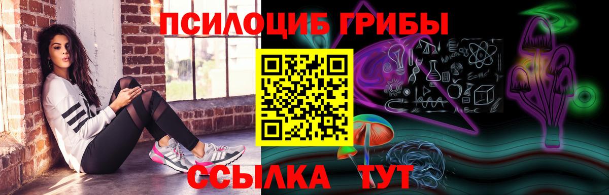 Псилоцибиновые грибы Magic Shrooms  Вход с VPN  Коркино  Псилоцибиновые грибы Magic Shrooms 